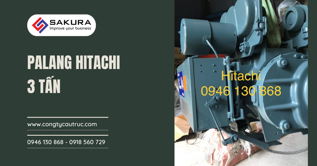 Palang Hitachi 3 tấn